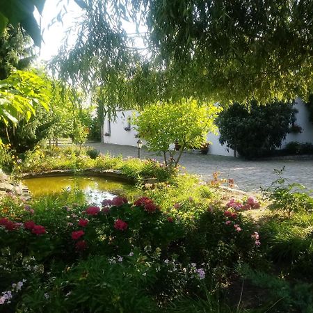 بوزنان Apartamenty Za Murem المظهر الخارجي الصورة